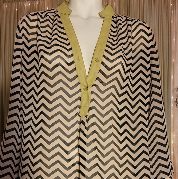 Shear Blouse - Picture 4 of 5